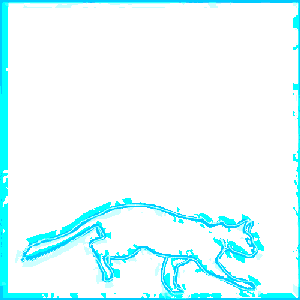 Schrödinger's Cat Frame (Animated)